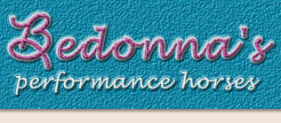bedonna's performance horses...quarter horses for sale paint horses for sale paint stallion quarter horse stallion